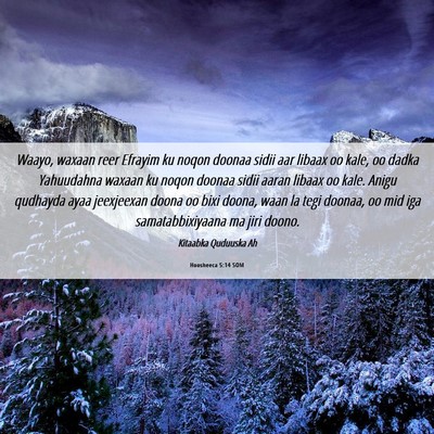 Picture 06 - Hoosheeca 5:14 SOM - Waayo, waxaan reer Efrayim ku noqon doonaa sidii - Bible Verse Picture