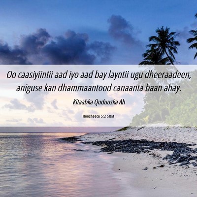 Picture 06 - Hoosheeca 5:2 SOM - Oo caasiyiintii aad iyo aad bay layntii ugu - Bible Verse Picture