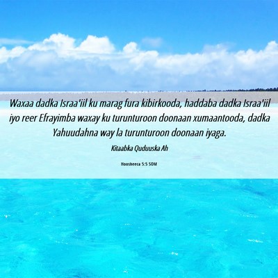 Picture 06 - Hoosheeca 5:5 SOM - Waxaa dadka Israa'iil ku marag fura kibirkooda, - Bible Verse Picture