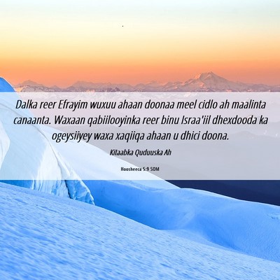 Picture 06 - Hoosheeca 5:9 SOM - Dalka reer Efrayim wuxuu ahaan doonaa meel cidlo - Bible Verse Picture