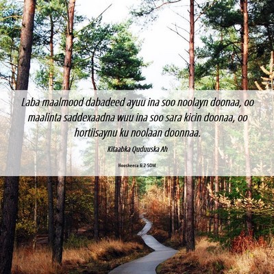 Picture 06 - Hoosheeca 6:2 SOM - Laba maalmood dabadeed ayuu ina soo noolayn - Bible Verse Picture