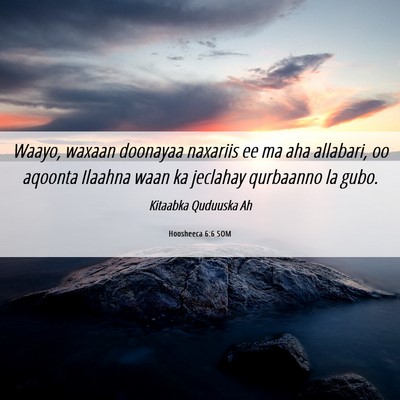 Picture 06 - Hoosheeca 6:6 SOM - Waayo, waxaan doonayaa naxariis ee ma aha - Bible Verse Picture