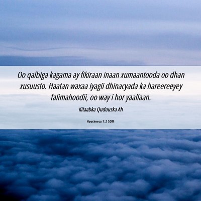 Picture 06 - Hoosheeca 7:2 SOM - Oo qalbiga kagama ay fikiraan inaan xumaantooda - Bible Verse Picture