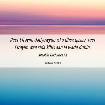 Picture 06 - Hoosheeca 7:8 SOM - Reer Efrayim dadyowguu isku dhex qasaa, reer - Bible Verse Picture