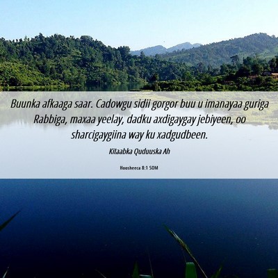 Picture 06 - Hoosheeca 8:1 SOM - Buunka afkaaga saar. Cadowgu sidii gorgor buu u - Bible Verse Picture