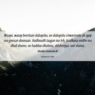 Picture 06 - Hoosheeca 8:7 SOM - Waayo, waxay beertaan dabaysha, oo dabaysha - Bible Verse Picture