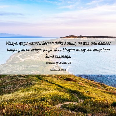 Picture 06 - Hoosheeca 8:9 SOM - Waayo, iyagu waxay u keceen dalka Ashuur, oo waa - Bible Verse Picture