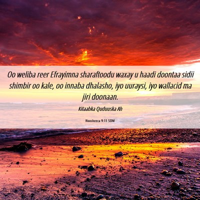 Picture 06 - Hoosheeca 9:11 SOM - Oo weliba reer Efrayimna sharaftoodu waxay u - Bible Verse Picture