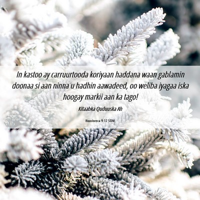Picture 06 - Hoosheeca 9:12 SOM - In kastoo ay carruurtooda koriyaan haddana waan - Bible Verse Picture