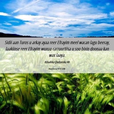 Picture 06 - Hoosheeca 9:13 SOM - Sidii aan Turos u arkay ayaa reer Efrayim meel - Bible Verse Picture