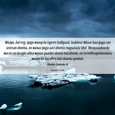 Picture 06 - Hoosheeca 9:6 SOM - Waayo, bal eeg, iyagu waxay ka tageen halligaad, - Bible Verse Picture