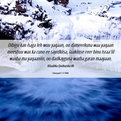 Picture 06 - Ishacyaah 1:3 SOM - Dibigu kan isaga leh wuu yaqaan, oo dameerkuna - Bible Verse Picture
