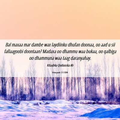 Picture 06 - Ishacyaah 1:5 SOM - Bal maxaa mar dambe wax laydiinku dhufan doonaa, - Bible Verse Picture