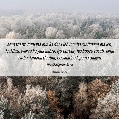 Picture 06 - Ishacyaah 1:6 SOM - Madaxa iyo minjaha inta ka dhex leh innaba - Bible Verse Picture
