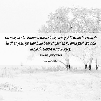 Picture 06 - Ishacyaah 1:8 SOM - Oo magaalada Siyoonna waxaa looga tegey sidii - Bible Verse Picture