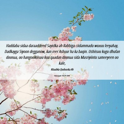 Picture 06 - Ishacyaah 10:24 SOM - Haddaba sidaa daraaddeed Sayidka ah Rabbiga - Bible Verse Picture