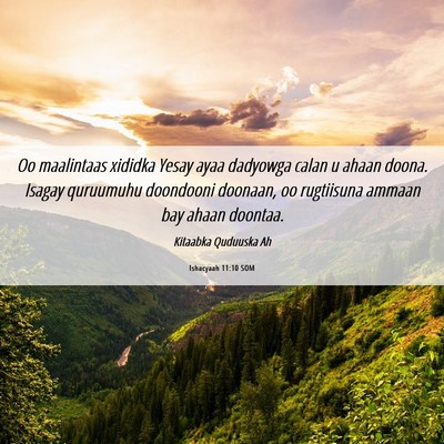 Picture 06 - Ishacyaah 11:10 SOM - Oo maalintaas xididka Yesay ayaa dadyowga calan u - Bible Verse Picture