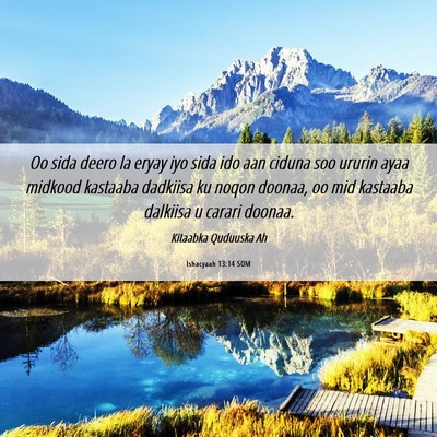 Picture 06 - Ishacyaah 13:14 SOM - Oo sida deero la eryay iyo sida ido aan ciduna - Bible Verse Picture
