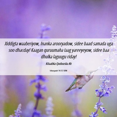 Picture 06 - Ishacyaah 14:12 SOM - Xiddigta waaberiyow, Inanka arooryadow, sidee - Bible Verse Picture