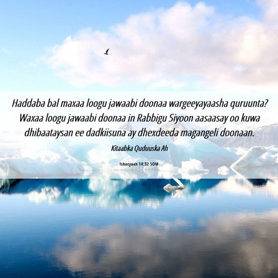 Picture 06 - Ishacyaah 14:32 SOM - Haddaba bal maxaa loogu jawaabi doonaa - Bible Verse Picture