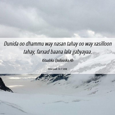 Picture 06 - Ishacyaah 14:7 SOM - Dunida oo dhammu way nasan tahay oo way xasilloon - Bible Verse Picture