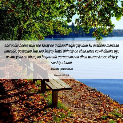 Picture 06 - Ishacyaah 14:9 SOM - She'oolka hoose wuu soo kacay oo u dhaqdhaqaaqay - Bible Verse Picture
