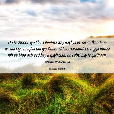 Picture 06 - Ishacyaah 15:4 SOM - Oo Xeshboon iyo Elecaaleehba way qayliyaan, oo - Bible Verse Picture