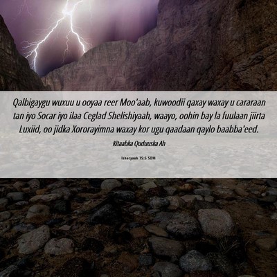 Picture 06 - Ishacyaah 15:5 SOM - Qalbigaygu wuxuu u ooyaa reer Moo'aab, kuwoodii - Bible Verse Picture