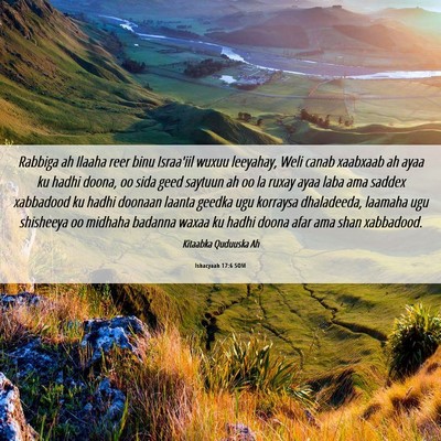 Picture 06 - Ishacyaah 17:6 SOM - Rabbiga ah Ilaaha reer binu Israa'iil wuxuu - Bible Verse Picture