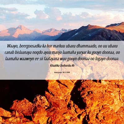 Picture 06 - Ishacyaah 18:5 SOM - Waayo, beergoosadka ka hor markuu ubaxu - Bible Verse Picture