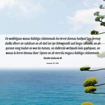 Picture 06 - Ishacyaah 18:7 SOM - Oo wakhtigaas waxaa Rabbiga ciidammada loo keeni - Bible Verse Picture