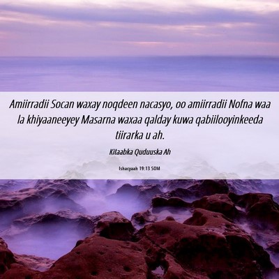 Picture 06 - Ishacyaah 19:13 SOM - Amiirradii Socan waxay noqdeen nacasyo, oo - Bible Verse Picture