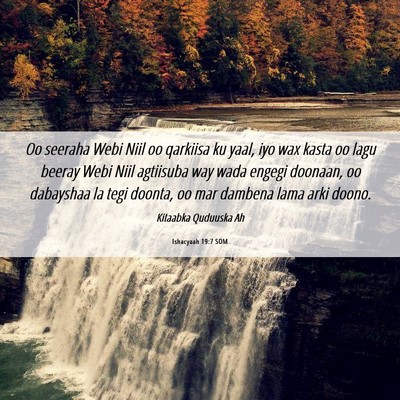 Picture 06 - Ishacyaah 19:7 SOM - Oo seeraha Webi Niil oo qarkiisa ku yaal, iyo wax - Bible Verse Picture