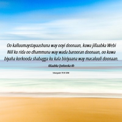 Picture 06 - Ishacyaah 19:8 SOM - Oo kalluumaystayaashuna way ooyi doonaan, kuwa - Bible Verse Picture