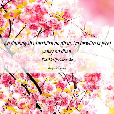 Picture 06 - Ishacyaah 2:16 SOM - iyo doonniyaha Tarshiish oo dhan, iyo taswiiro la - Bible Verse Picture