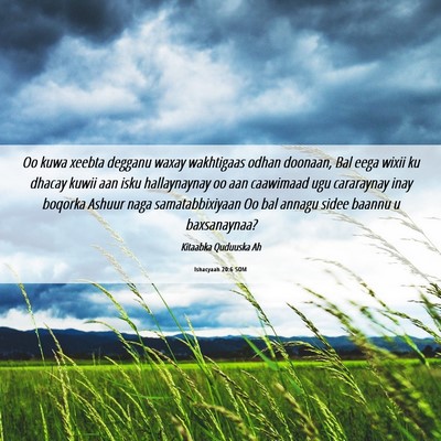 Picture 06 - Ishacyaah 20:6 SOM - Oo kuwa xeebta degganu waxay wakhtigaas odhan - Bible Verse Picture