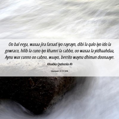 Picture 06 - Ishacyaah 22:13 SOM - Oo bal eega, waxaa jira farxad iyo rayrayn, dibi - Bible Verse Picture