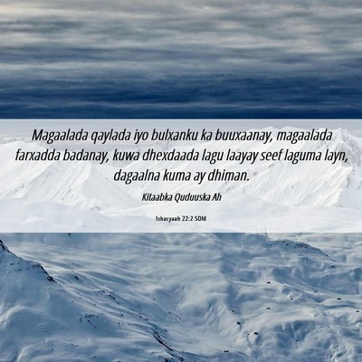 Picture 06 - Ishacyaah 22:2 SOM - Magaalada qaylada iyo bulxanku ka buuxaanay, - Bible Verse Picture