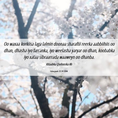 Picture 06 - Ishacyaah 22:24 SOM - Oo waxaa korkiisa laga lalmin doonaa sharaftii - Bible Verse Picture