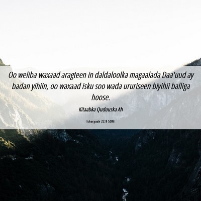 Picture 06 - Ishacyaah 22:9 SOM - Oo weliba waxaad aragteen in daldaloolka - Bible Verse Picture