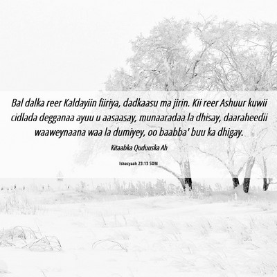 Picture 06 - Ishacyaah 23:13 SOM - Bal dalka reer Kaldayiin fiiriya, dadkaasu ma - Bible Verse Picture
