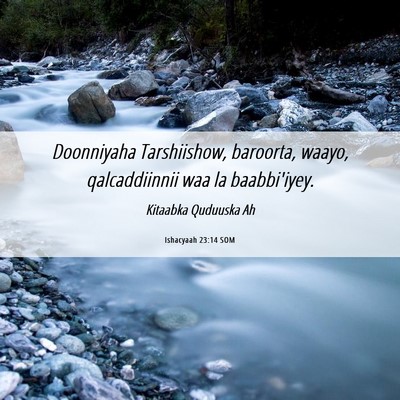 Picture 06 - Ishacyaah 23:14 SOM - Doonniyaha Tarshiishow, baroorta, waayo, - Bible Verse Picture