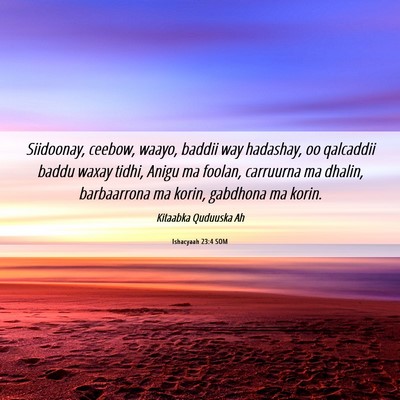 Picture 06 - Ishacyaah 23:4 SOM - Siidoonay, ceebow, waayo, baddii way hadashay, oo - Bible Verse Picture
