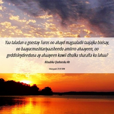 Picture 06 - Ishacyaah 23:8 SOM - Yaa taladan u goostay Turos oo ahayd magaaladii - Bible Verse Picture
