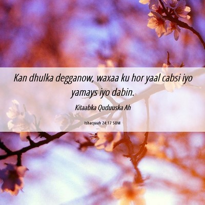 Picture 06 - Ishacyaah 24:17 SOM - Kan dhulka degganow, waxaa ku hor yaal cabsi iyo - Bible Verse Picture