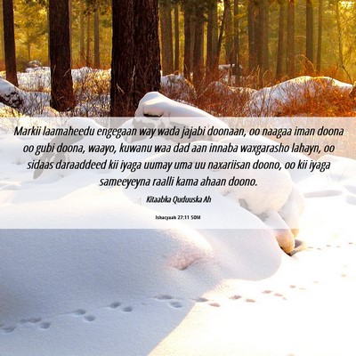 Picture 06 - Ishacyaah 27:11 SOM - Markii laamaheedu engegaan way wada jajabi - Bible Verse Picture