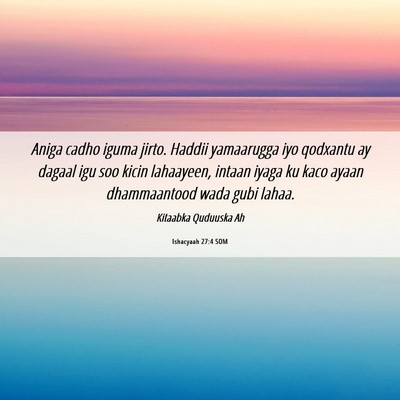 Picture 06 - Ishacyaah 27:4 SOM - Aniga cadho iguma jirto. Haddii yamaarugga iyo - Bible Verse Picture