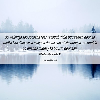 Picture 06 - Ishacyaah 27:6 SOM - Oo wakhtiga soo socdana reer Yacquub xidid buu - Bible Verse Picture