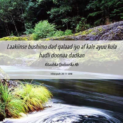 Picture 06 - Ishacyaah 28:11 SOM - Laakiinse bushimo dad qalaad iyo af kale ayuu - Bible Verse Picture
