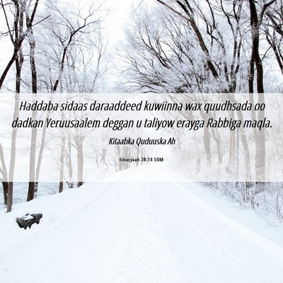 Picture 06 - Ishacyaah 28:14 SOM - Haddaba sidaas daraaddeed kuwiinna wax quudhsada - Bible Verse Picture